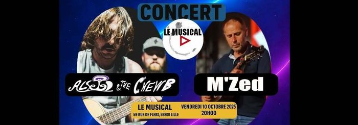 Concerts Live: Alssed the Chewb (pop electro) + M Zed (Chanson FR)