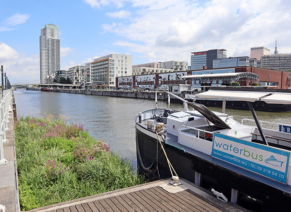 Loisirs Croisière le canal: corridor écologique cœur Bruxelles
