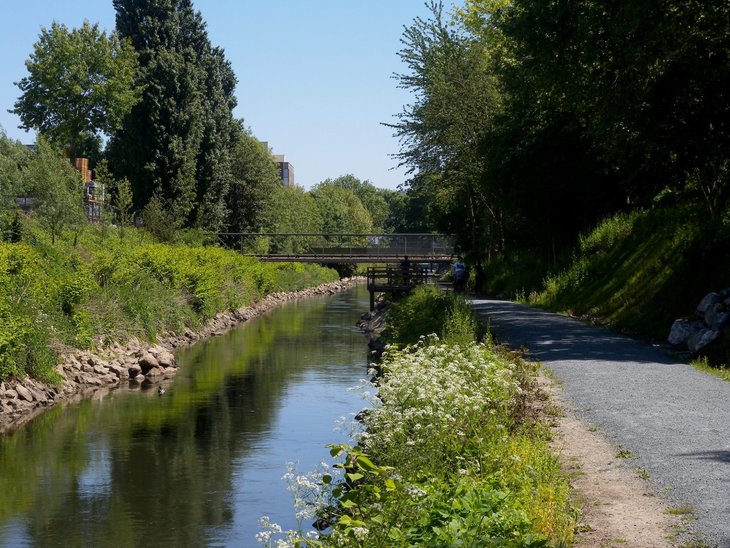 Loisirs Promenade guidée long la Senne du canal : l’eau la biodiversité