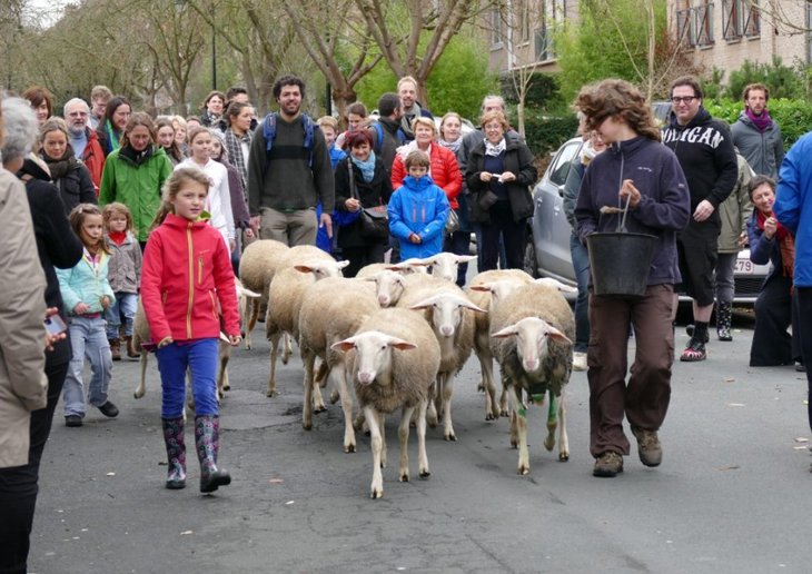 Loisirs Transhumance