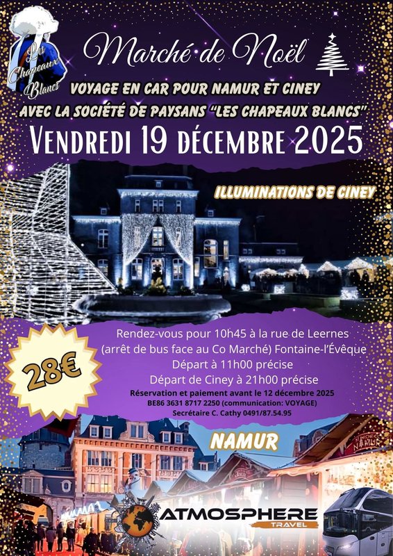 Marchés de Noël Voyage car pour marché Noël Namur Ciney