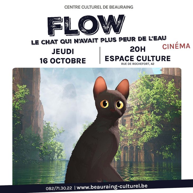 Spectacles Cinéma - Flow, chat n avait plus peur l eau