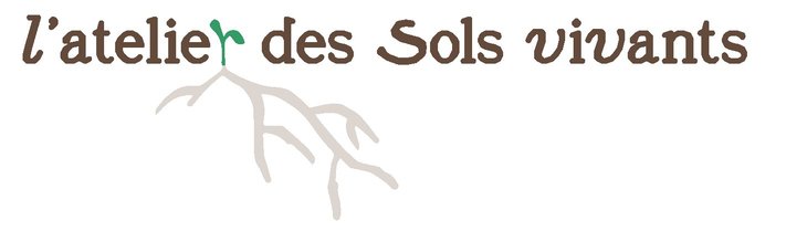 Stages,cours Jeu sols vivants : ludique interactif