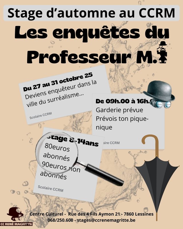 Stages,cours Les Enquêtes Professeur M.
