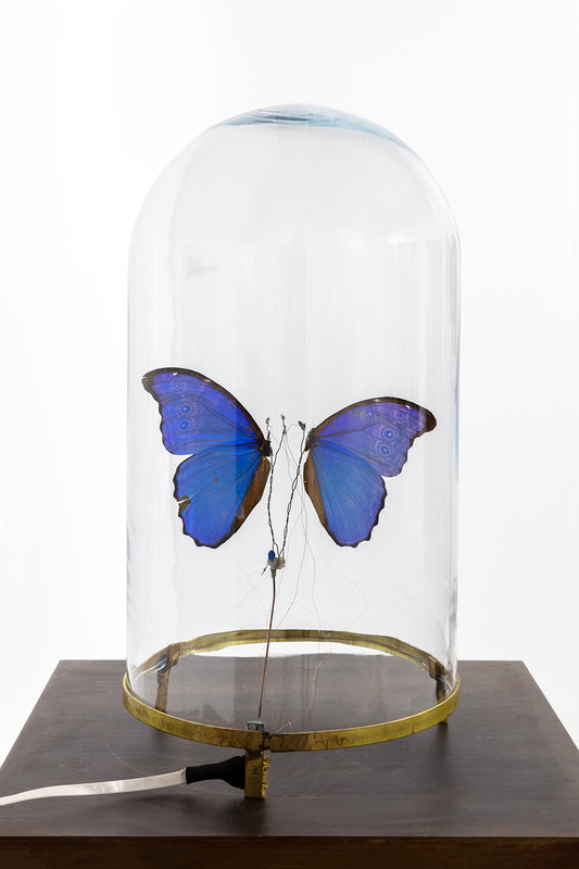 Expositions Vivien Roubaud - Temps Suspendu