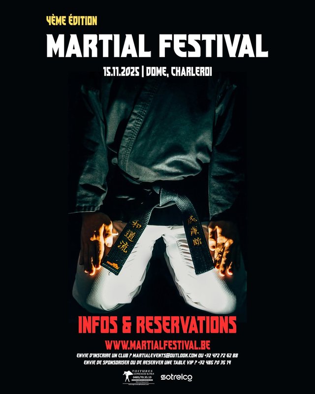 Spectacles Festival arts martiaux