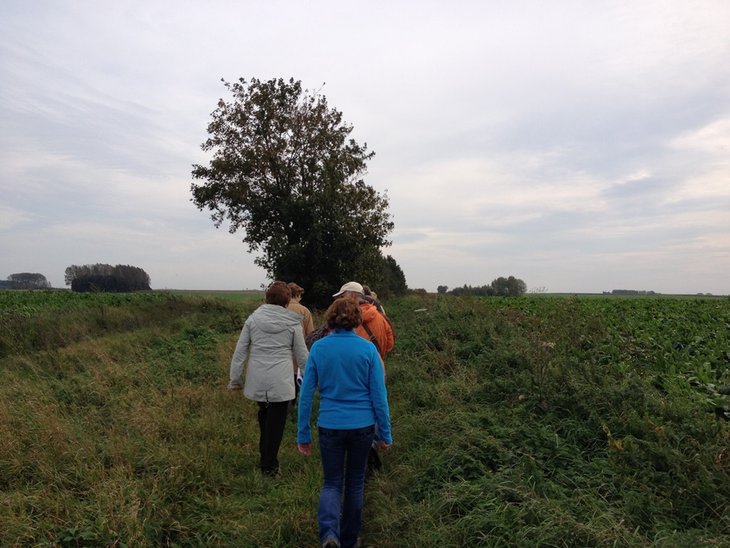 Loisirs Balade d’automne - Groupe Sentiers Walhain, A vot’ Sentier