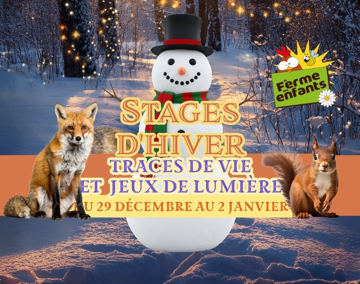 Stages,cours Stages d hiver