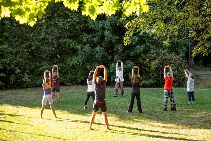 Stages,cours Cours collectifs QiGong santé