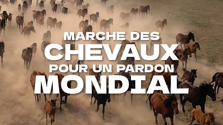 Stages,cours Marche Pardon Brabant Wallon