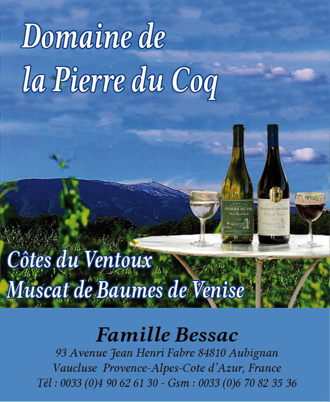 Loisirs 14eme salon Vincent vin du fromage Court Etienne