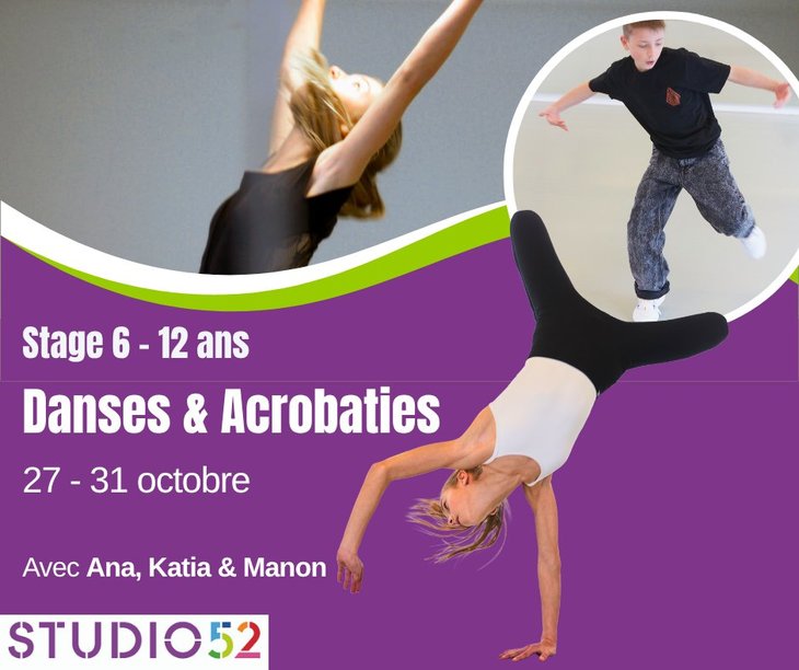 Stages,cours Stage multi-danses & acrobaties