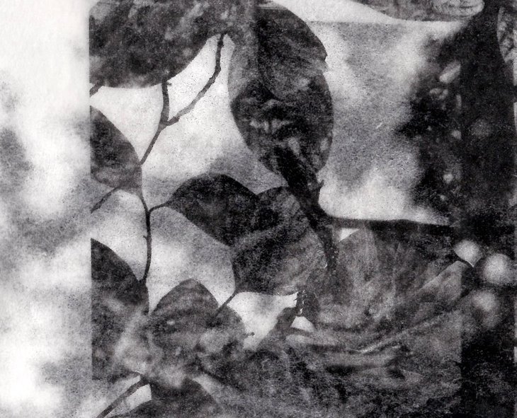 Expositions Expo : Bords perdus - Marie Bonnin
