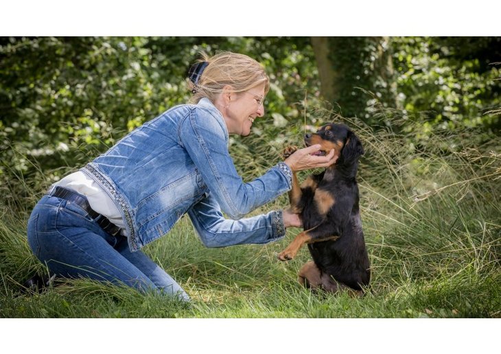 Stages,cours Séances photos  chien-humain  dans domaine privé