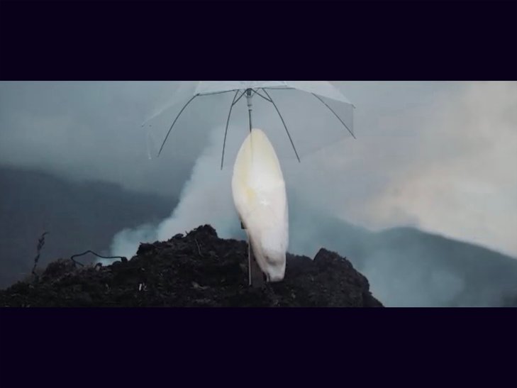 Expositions Grégoire Motte - Nacht Witloof