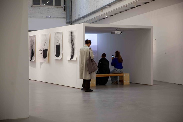 Expositions Dimanche