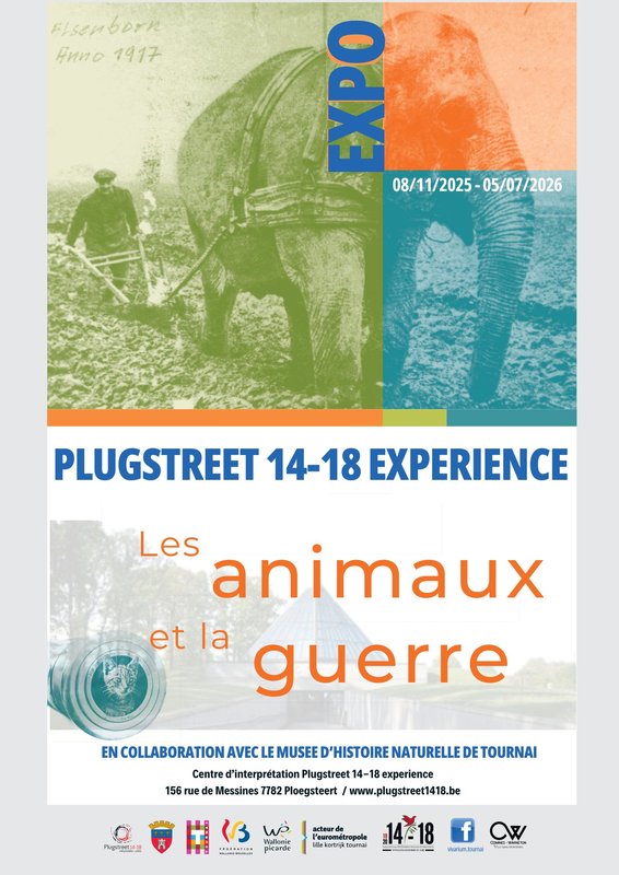 Expositions Exposition  Les Animaux la Guerre  Centre Plugstreet