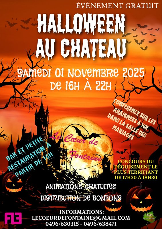 Loisirs Halloween Château
