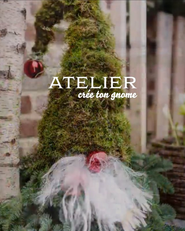 Stages,cours Atelier d’art Floral « créé Gnome »