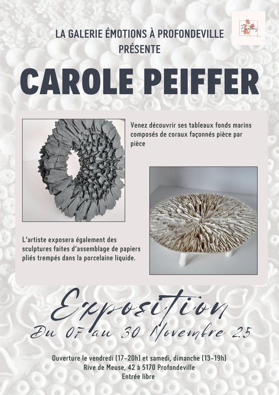 Expositions Exposition Carole Peiffer