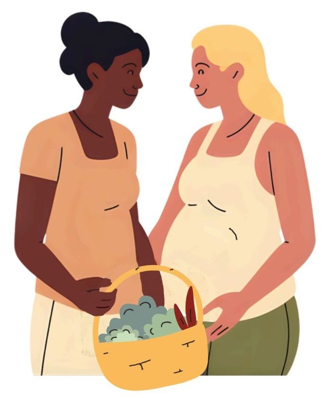 Conférences Perturbateurs endocriniens grossesse : Conférence Céline Bertrand