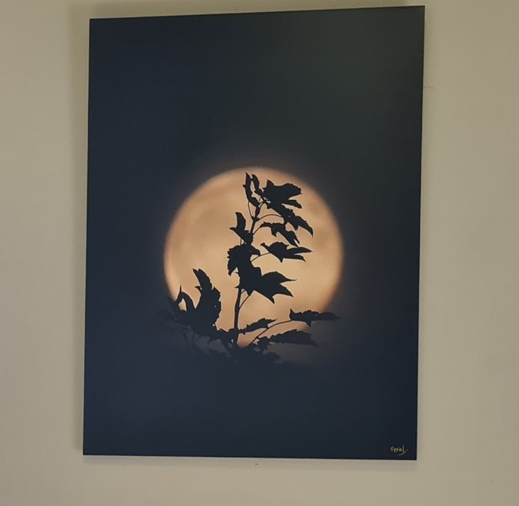 Expositions Vernissage L Expo Silhouettes Lune + Souper d Automne