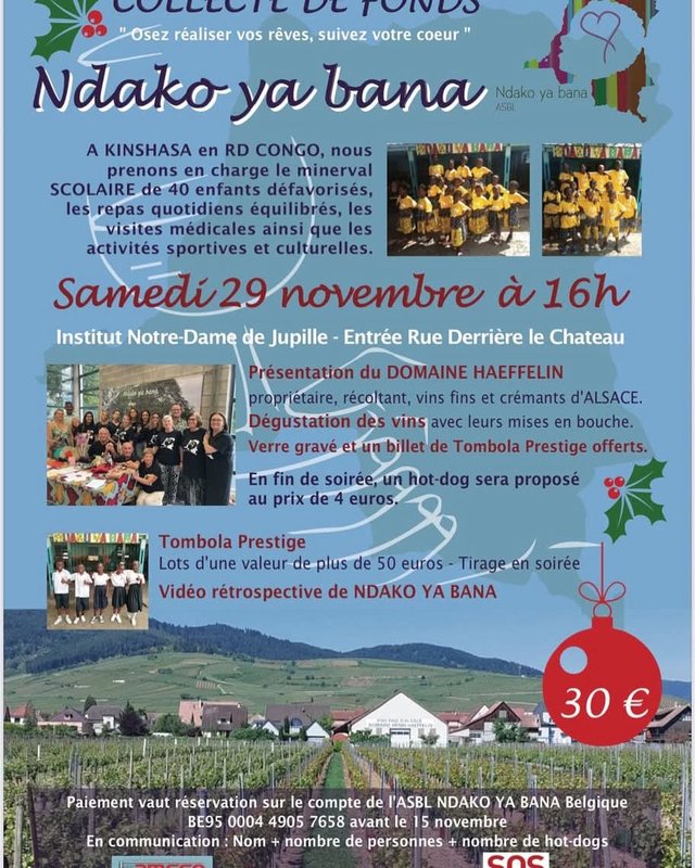 Loisirs Dégustation vins alsaciens Domaine Haeffelin