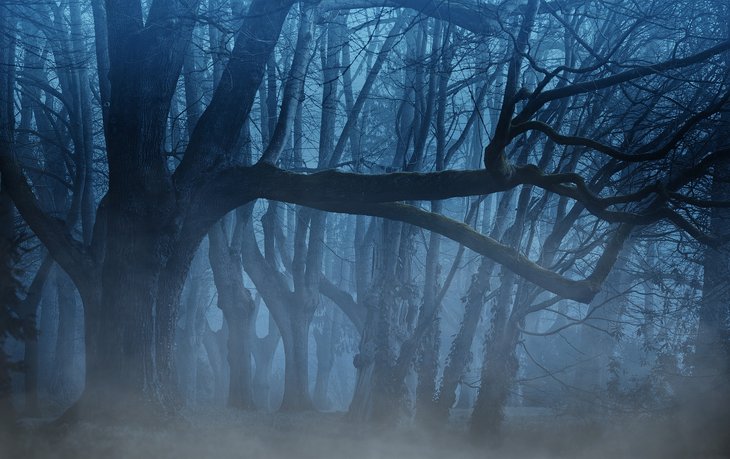 Loisirs Balade dans forêt interdite