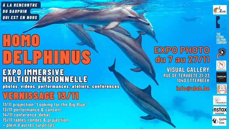 Expositions Homo Delphinus A rencontre dauphin est nous