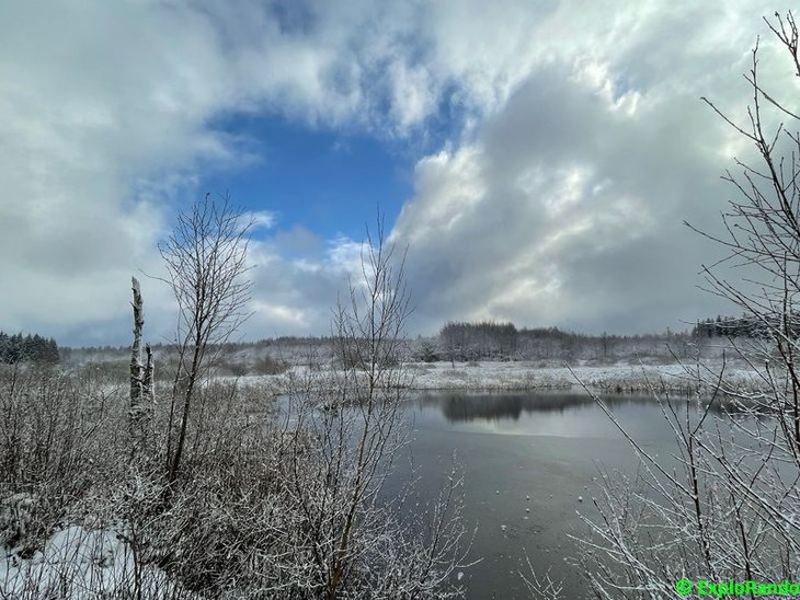 Loisirs Rando : Hautes Fagnes plus surprenantes jamais