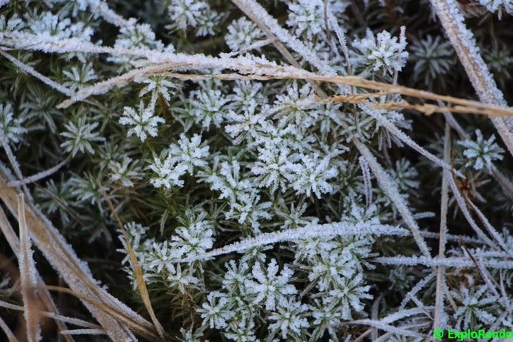 Loisirs Randonnette autour Bertinchamps