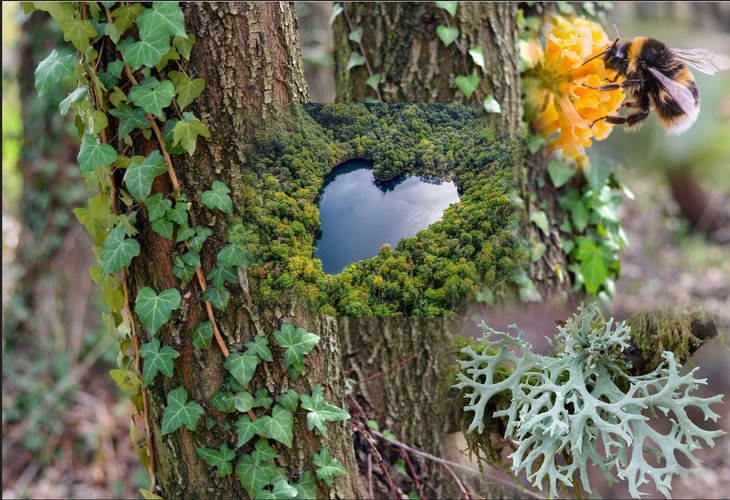 Loisirs Copains ennemis? relations dans nature