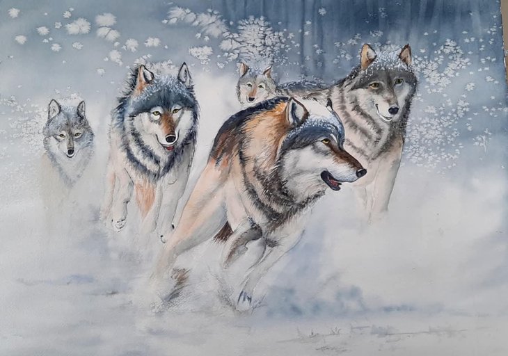 Expositions Exposition aquarelle Liliane Ghelen