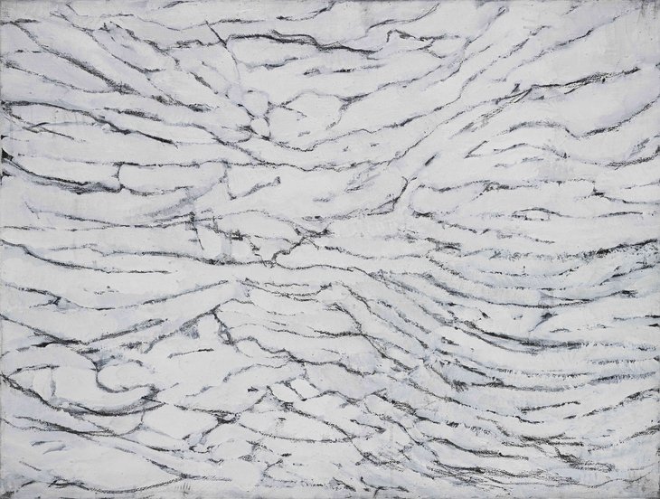 Expositions Henri Plas