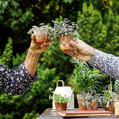 Spectacles Il faut cultiver jardin