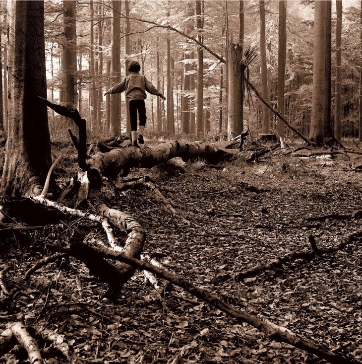 Expositions Exposition photos d Alain Richard