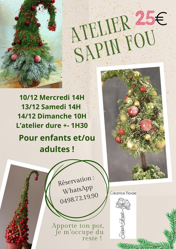 Stages,cours Sapin de Noël