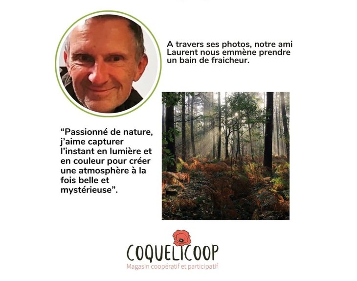 Expositions Exposition photos - Laurent Castiaux