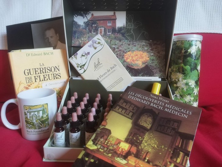 Stages,cours Formation fleurs Bach Niveau 1