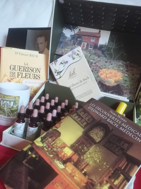 Stages,cours Formation fleurs Bach Niveau 1