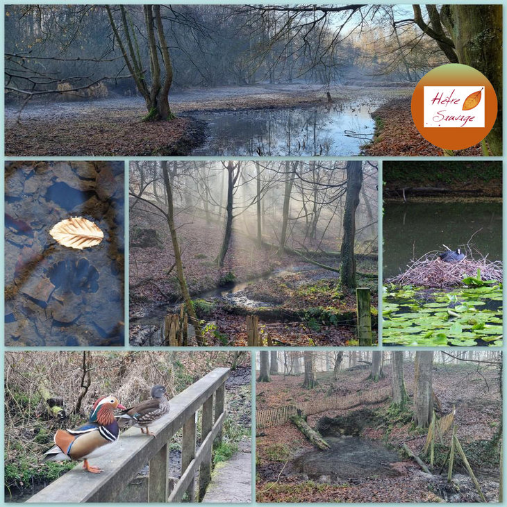 Loisirs Animation autour l’eau