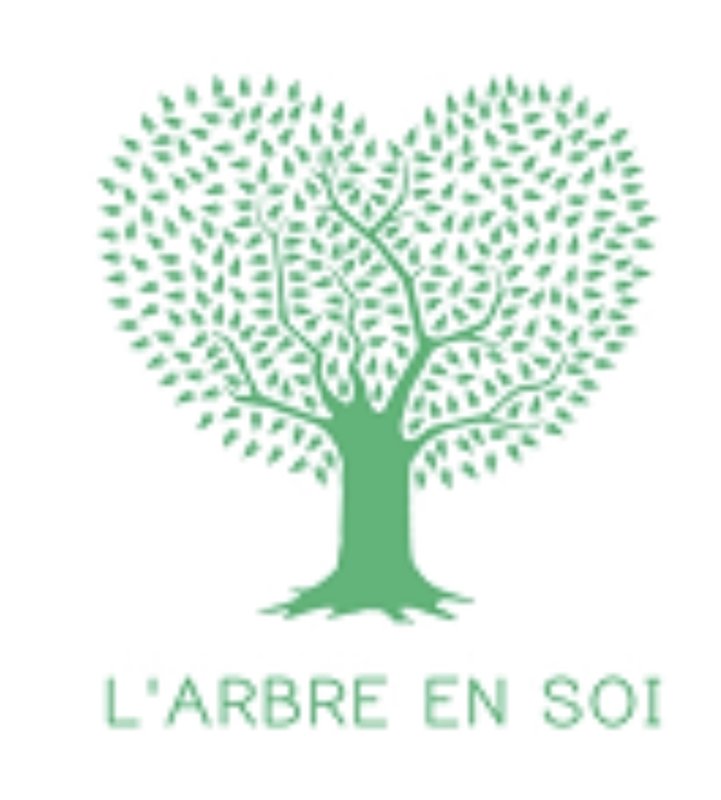 Stages,cours Entrez dans danse l automne