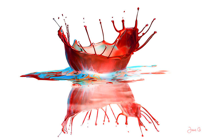 Expositions Expo photos Jeanine Blanche