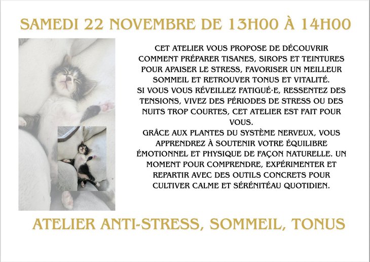 Stages,cours Atelier anti-stress, sommeil, tonus