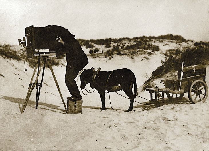 Expositions Expo : Découvrez nature travers l objectif Jean Massart
