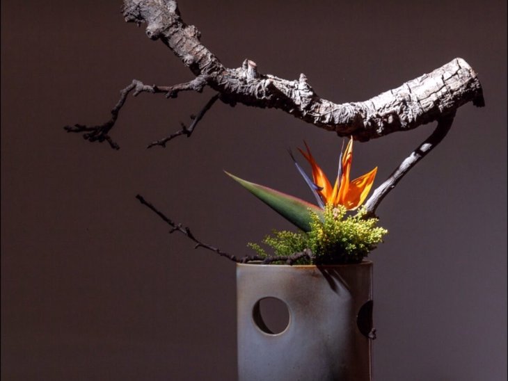 Expositions Expo: Ikebana Sogetsu Azalea study group