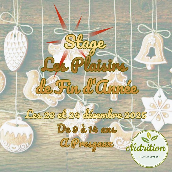 Stages,cours Stage  Les plaisirs fin d’année 