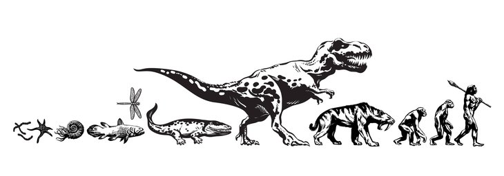 Stages,cours « Marche Temps Profond – origines la sur Terre