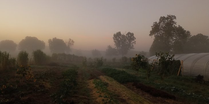 Loisirs Dimanche la Courge