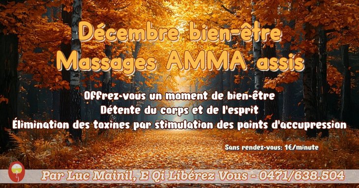 Stages,cours Massage Amma assis